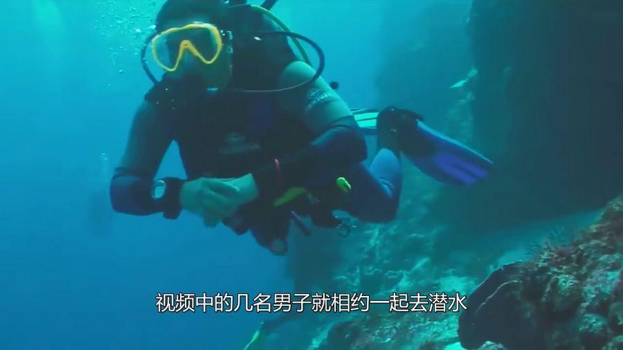 三房成交占比55%,滨湖2023年二手房市场数据!(年终系列盘点)